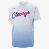تیشرت نایکی Chicago Bulls Max90 سفید HV5498-100 - نمای جلو